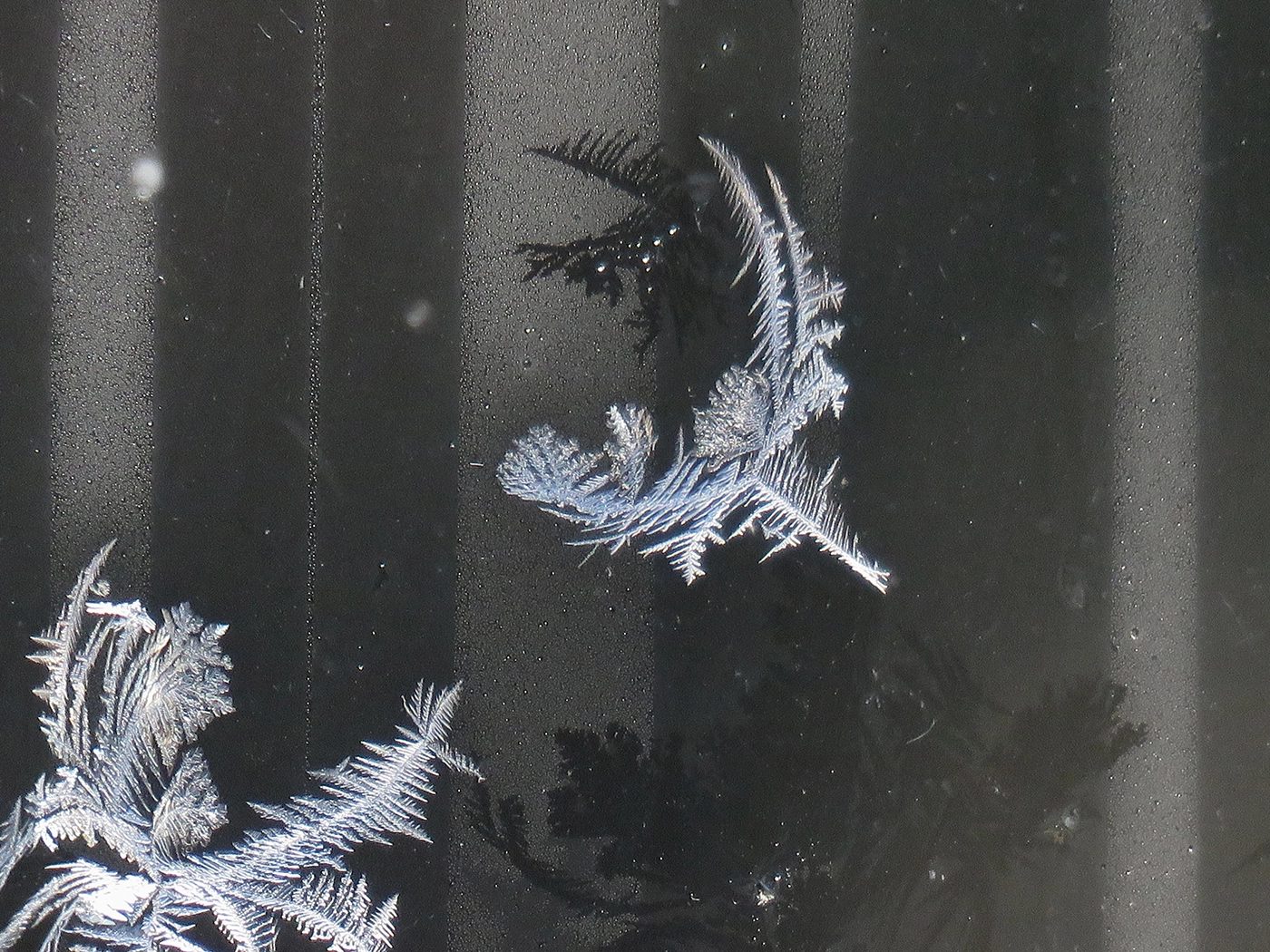 Golden Valley detail